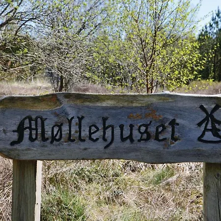 Lyngshuse Xi * هيرنينغ